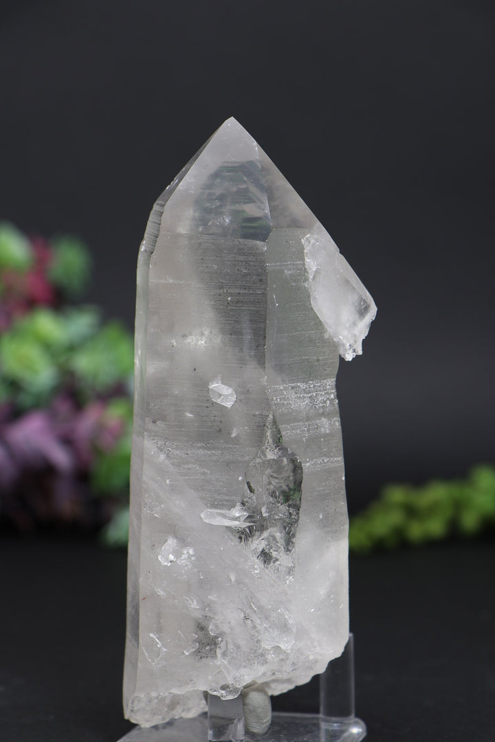 5.5" Lemurian AB1247