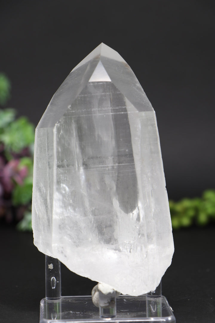 4.75" Lemurian