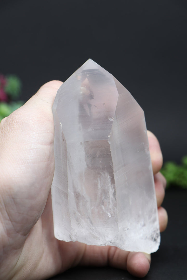 4.75" Lemurian