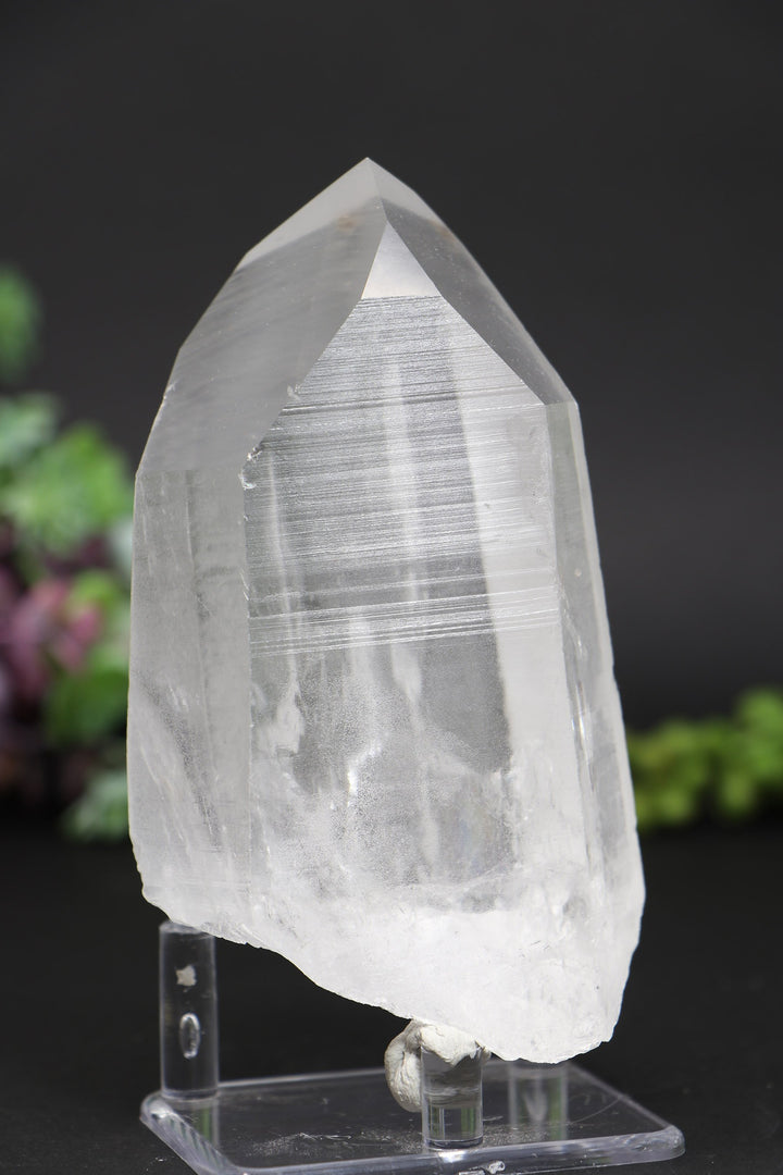 4.75" Lemurian