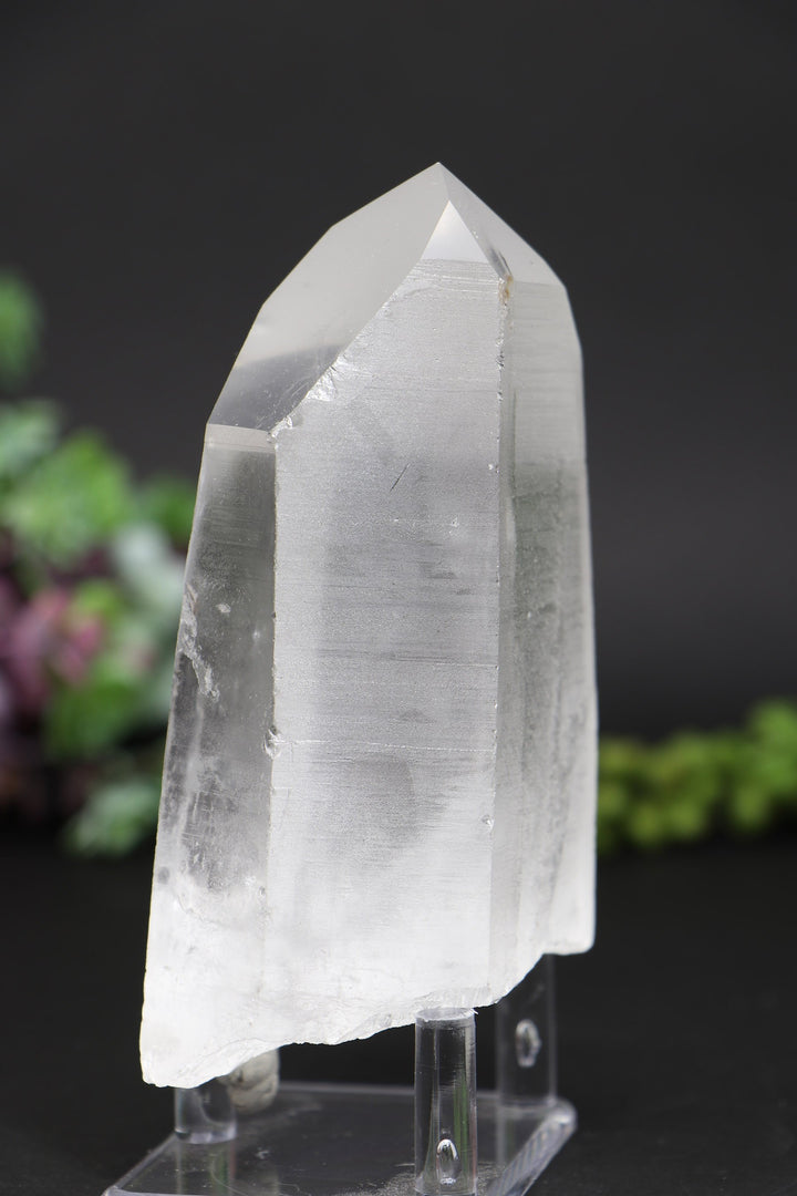 4.75" Lemurian