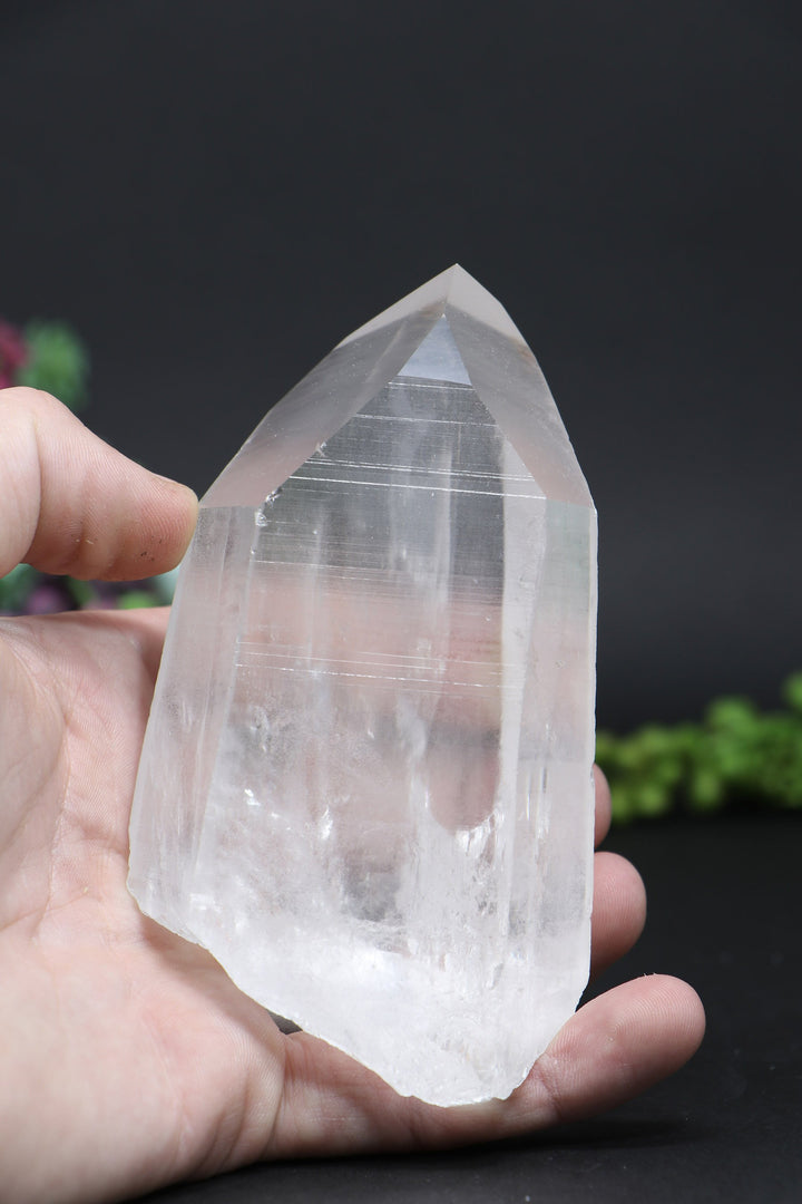 4.75" Lemurian