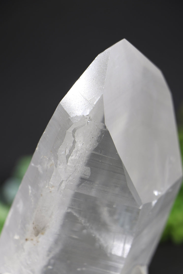 6.5" Lemurian