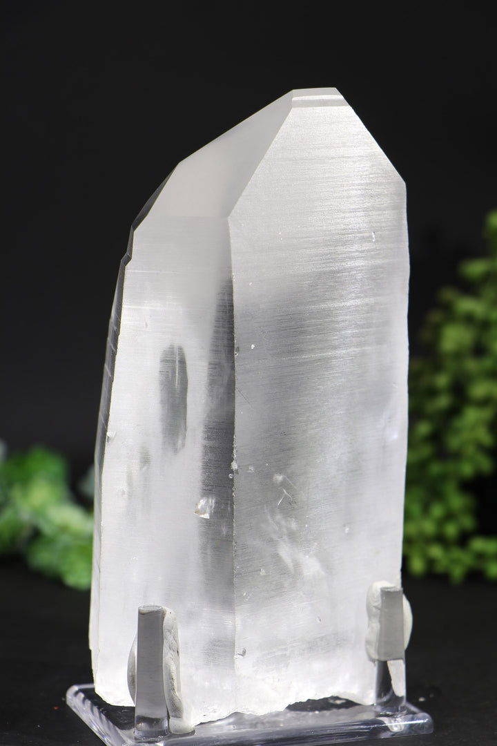 6.5" Lemurian