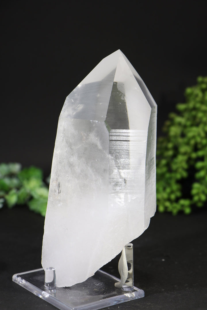 7" Lemurian