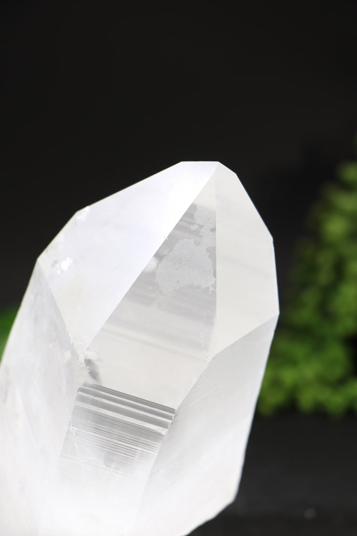 7" Lemurian