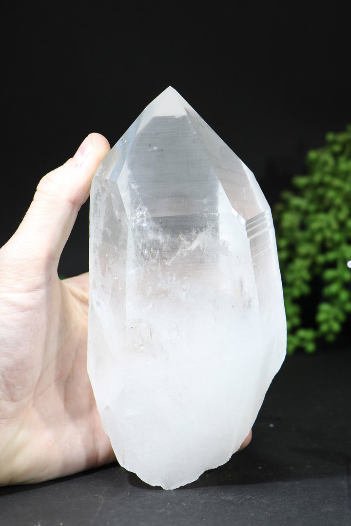 7" Lemurian