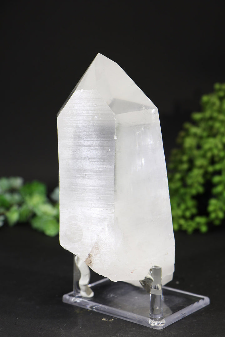 7" Lemurian