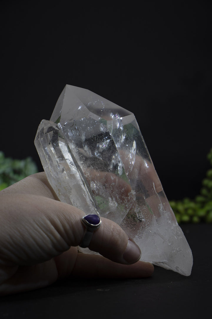 5.5" Lemurian