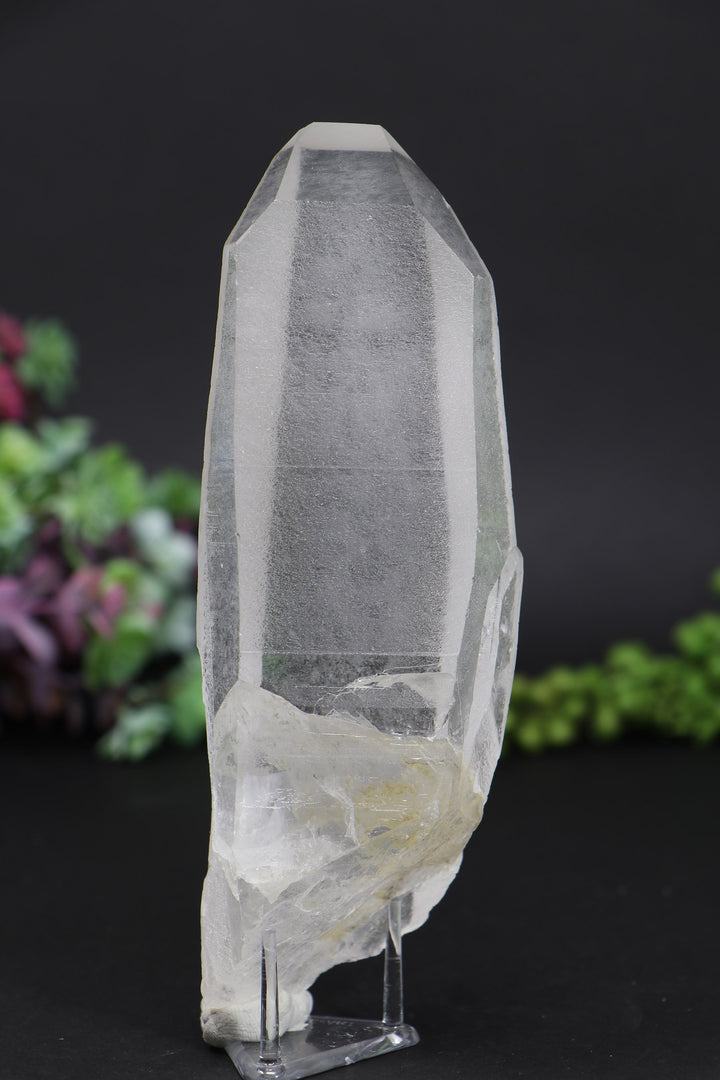 6.25" Lemurian