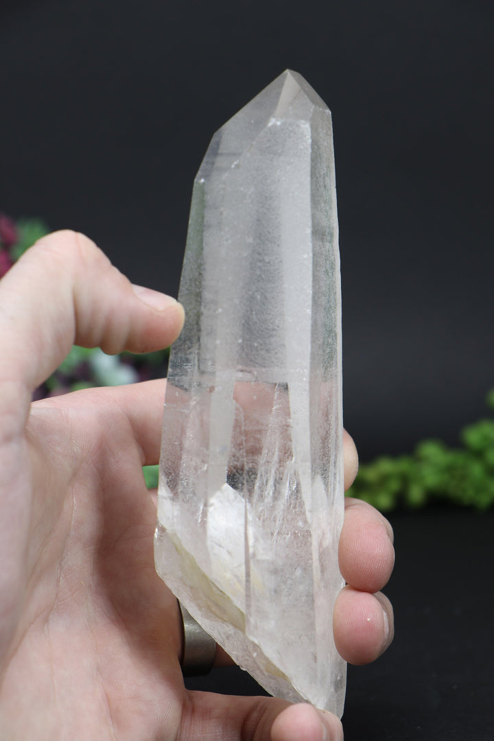 6.25" Lemurian