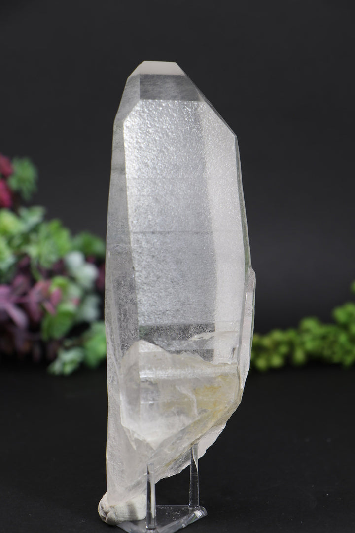 6.25" Lemurian