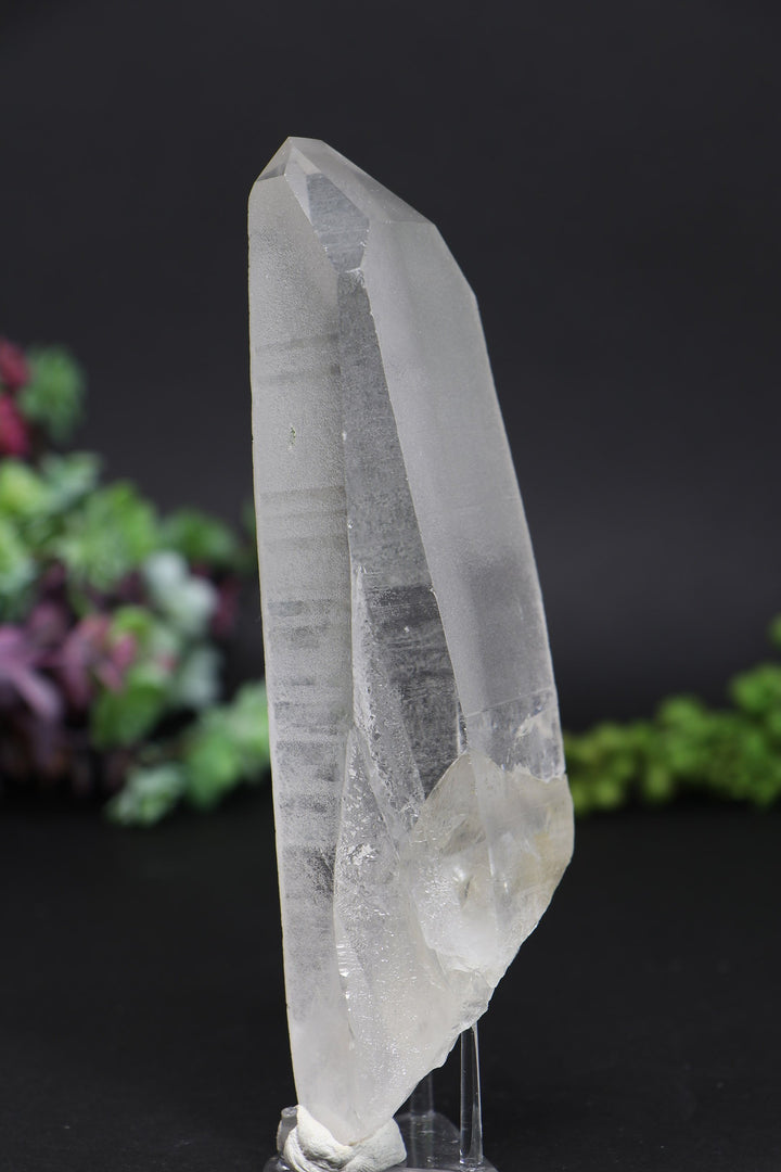 6.25" Lemurian