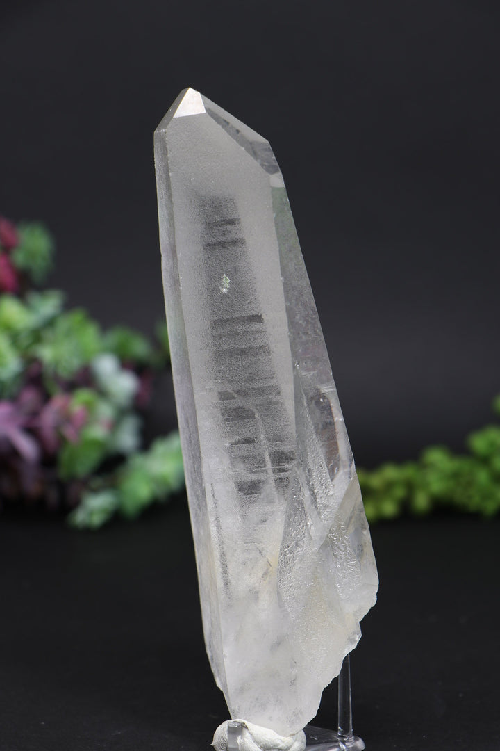6.25" Lemurian