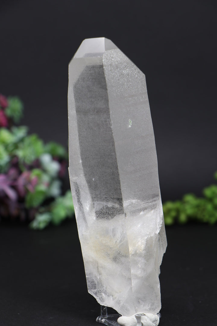 6.25" Lemurian