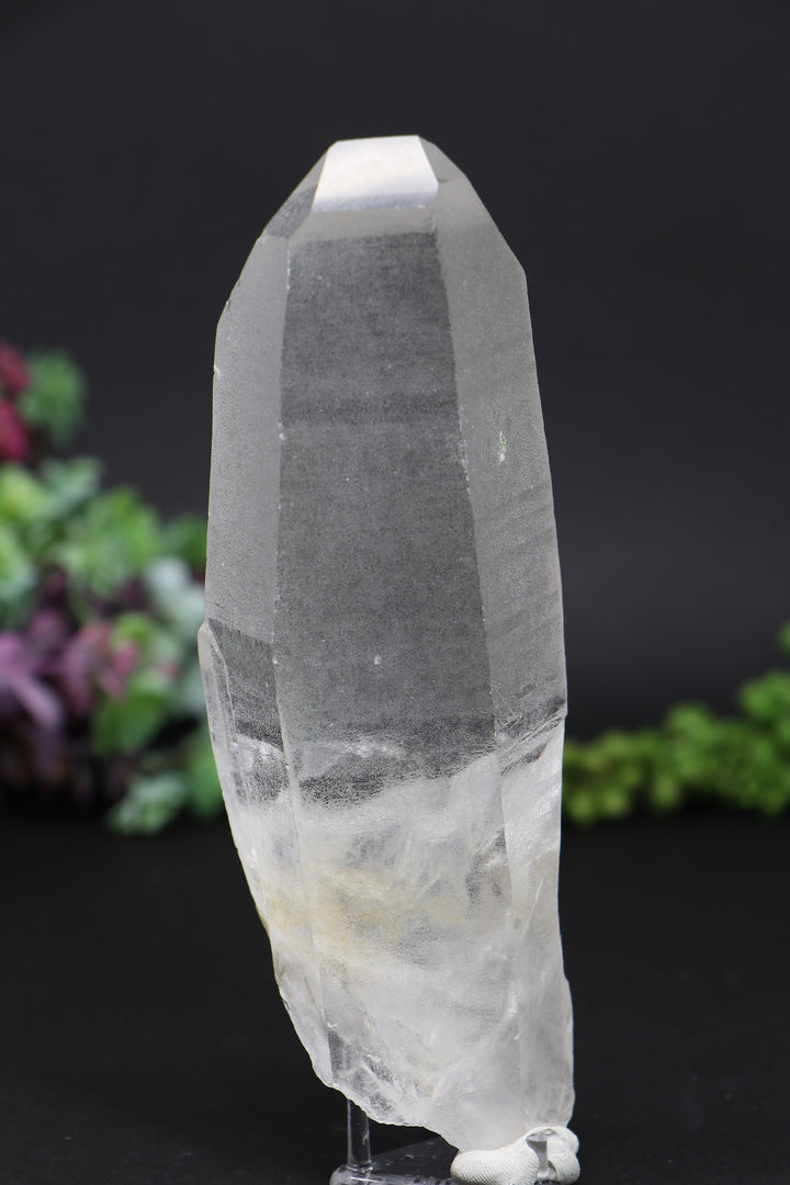 6.25" Lemurian