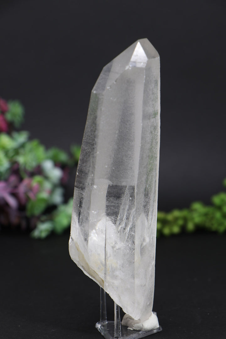 6.25" Lemurian