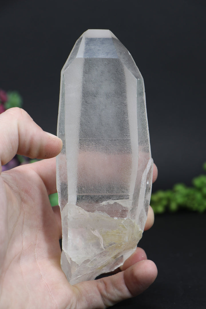 6.25" Lemurian