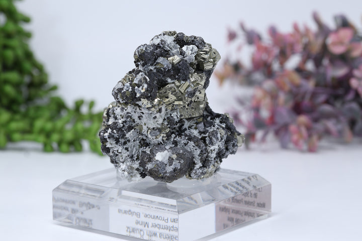 Pyrite and Galena Mounted Specimen from 9th of September Mine DD1807