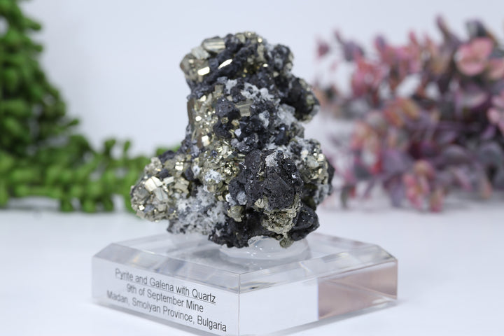 Pyrite and Galena Mounted Specimen from 9th of September Mine DD1807