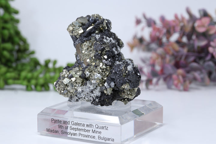 Pyrite and Galena Mounted Specimen from 9th of September Mine DD1807