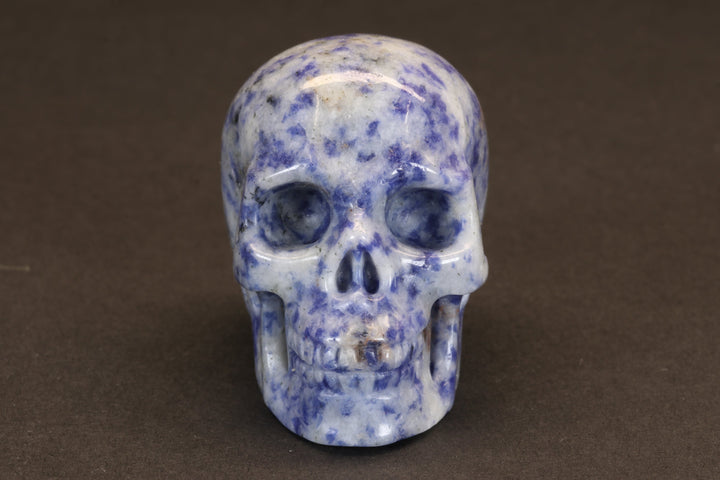 Sodalite Skull DD4178
