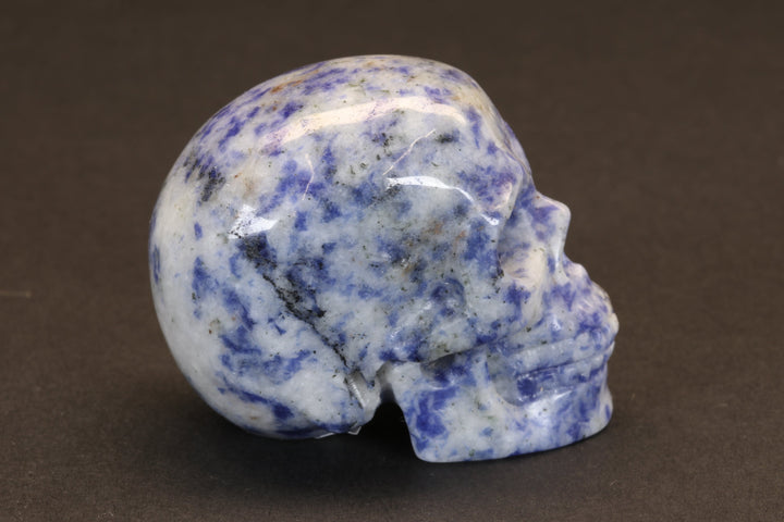 Sodalite Skull DD4178