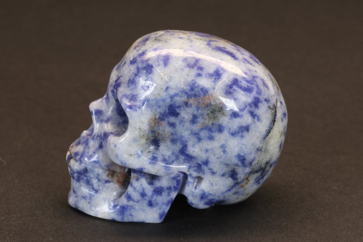 Sodalite Skull DD4178