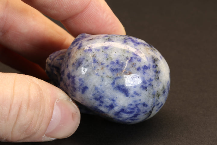 Sodalite Skull DD4178