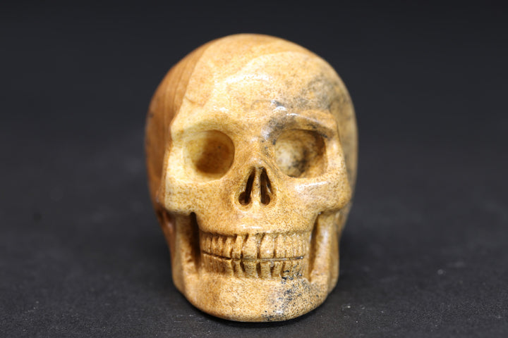 2" Picture Jasper Skull DD4395