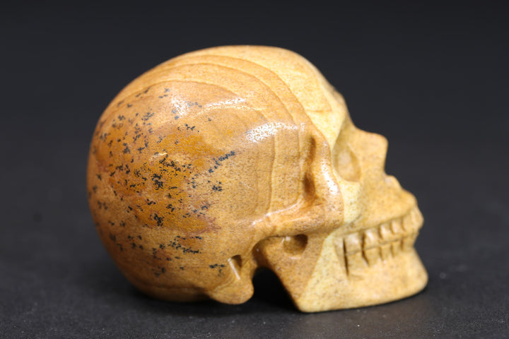 2" Picture Jasper Skull DD4395