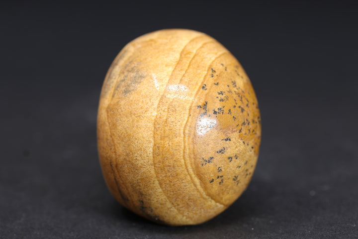 2" Picture Jasper Skull DD4395
