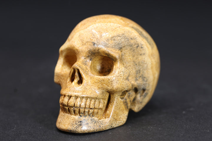 2" Picture Jasper Skull DD4395