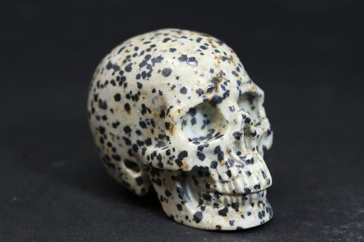 2" Dalmatian Jasper Skull 727DD4532