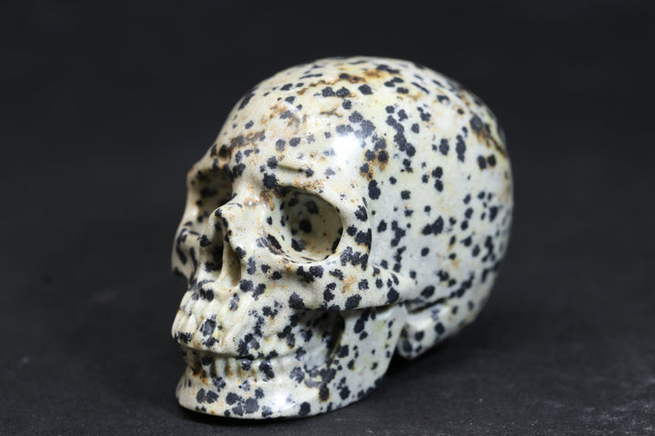 2" Dalmatian Jasper Skull 727DD4532