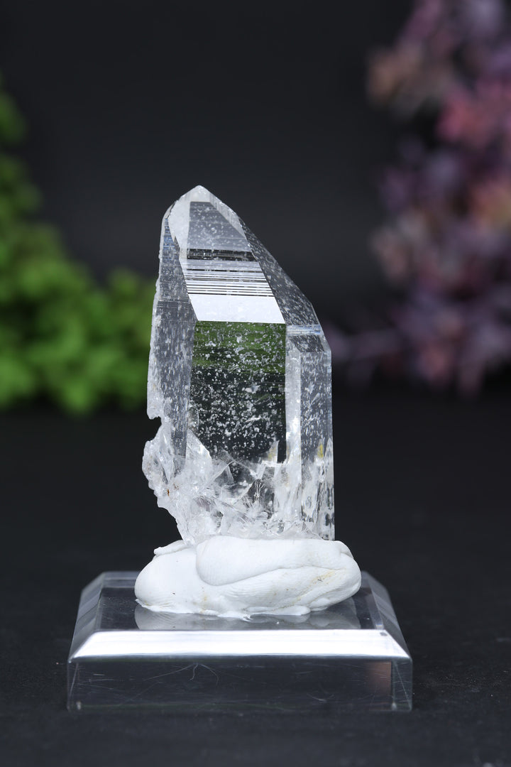 3" Colombian Lemurian DE163
