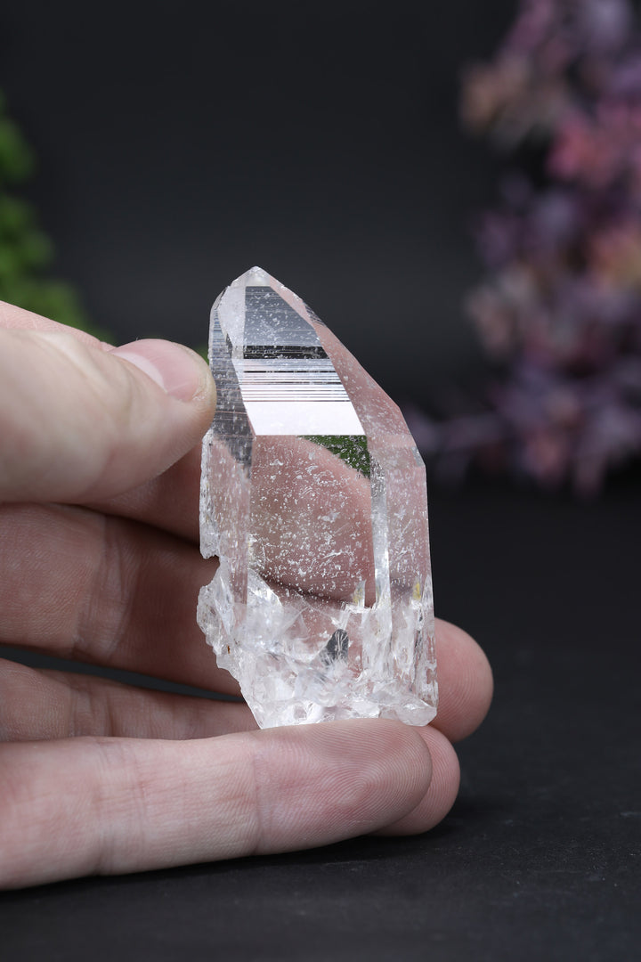 3" Colombian Lemurian DE163