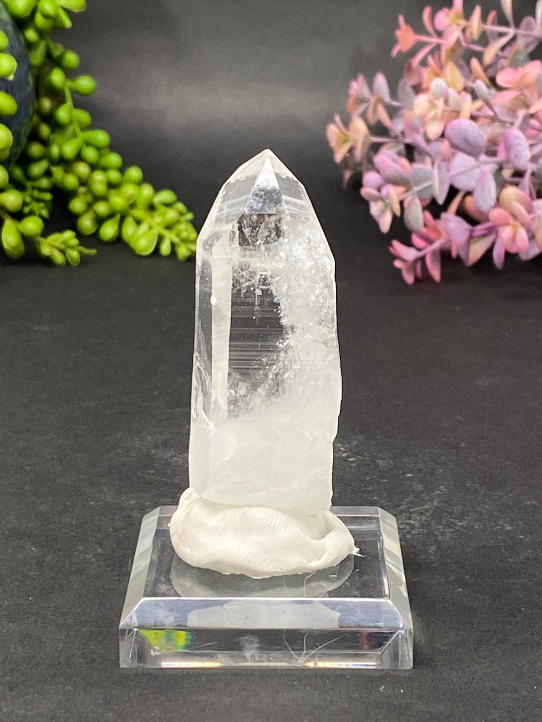 2.75" Colombian Lemurian DE81