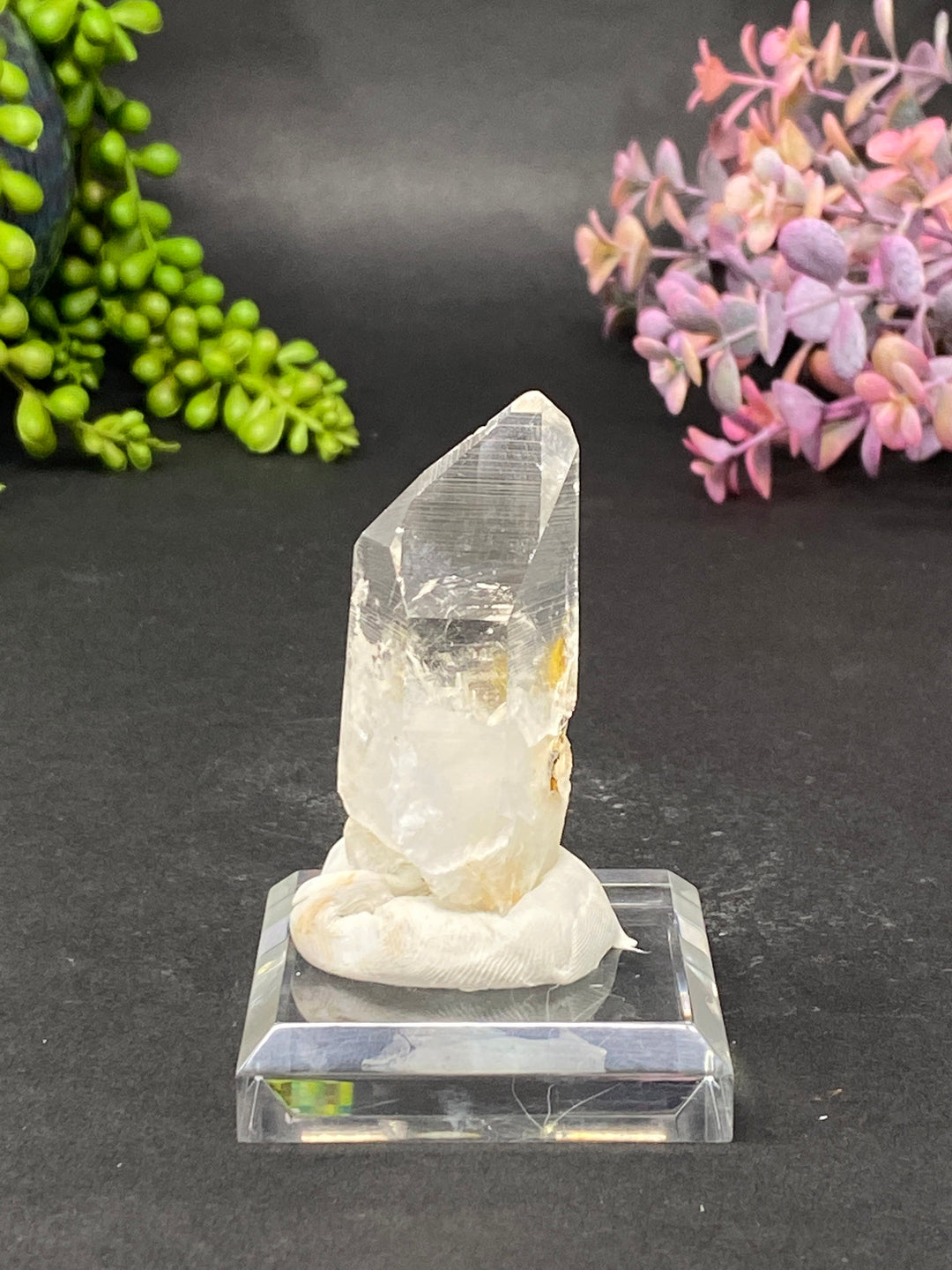 2.25" Colombian Lemurian DE90