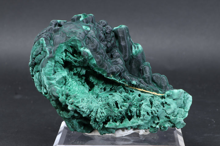 Malachite Specimen DF585