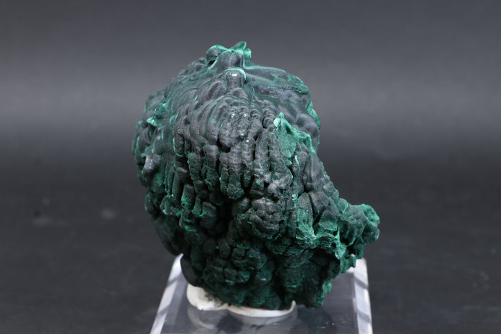 Malachite Specimen DF585