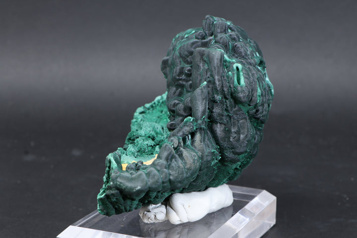 Malachite Specimen DF585