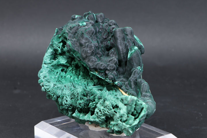 Malachite Specimen DF585