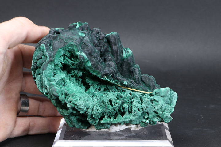 Malachite Specimen DF585