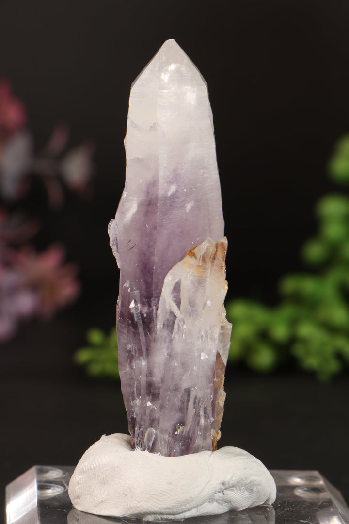 3" Guerrero Amethyst DM1161