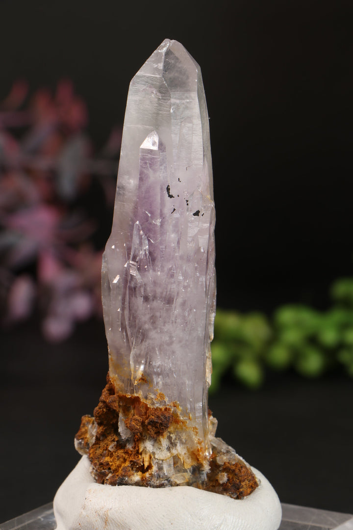 3.5" Guerrero Amethyst DM1162