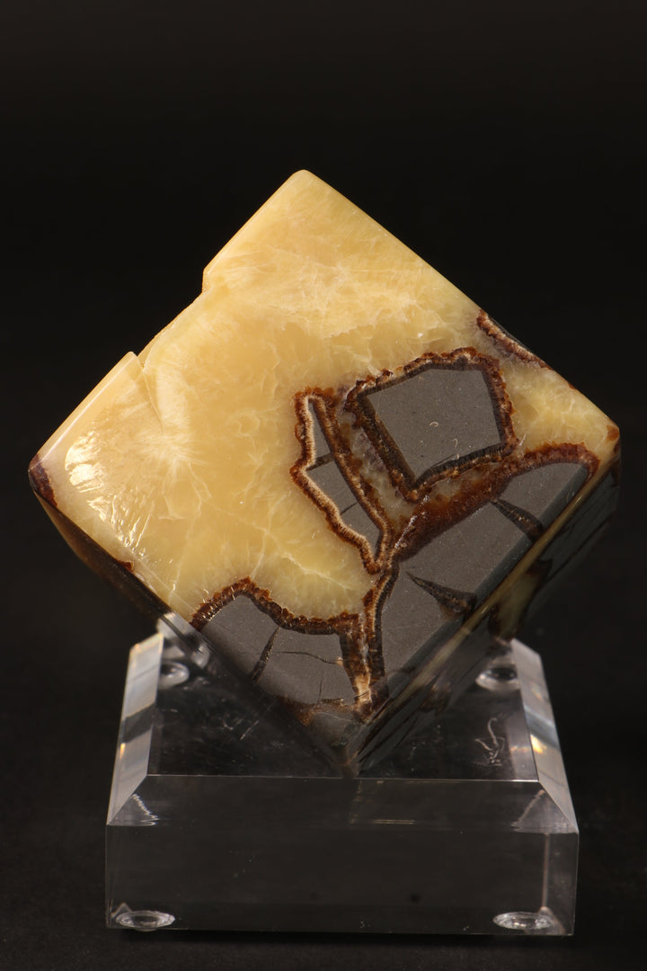 Cut Base Septarian Cube DM1260