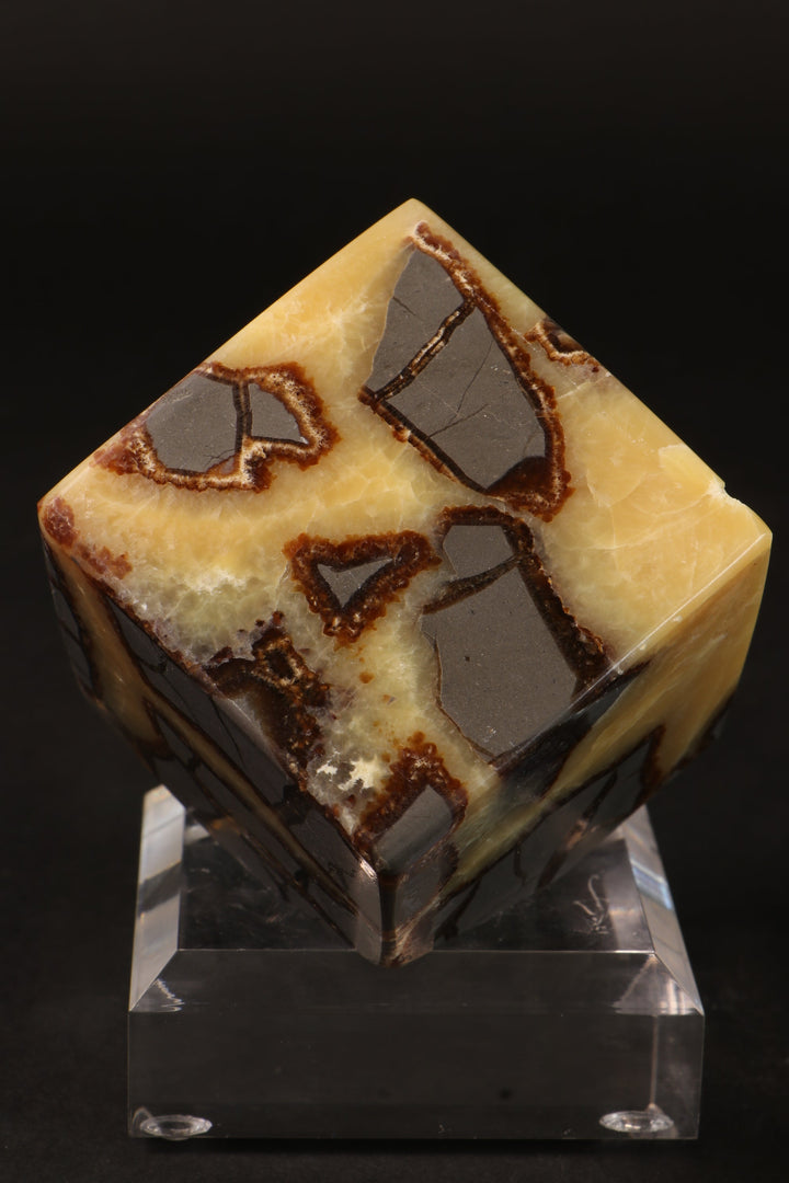 Cut Base Septarian Cube DM1260