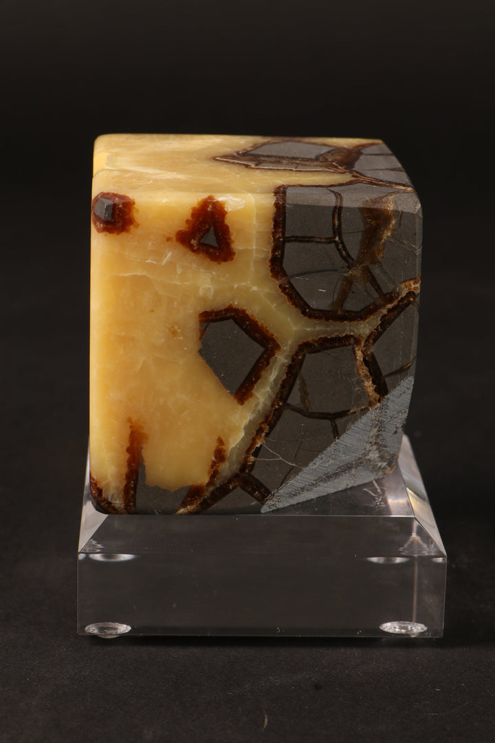 Cut Base Septarian Cube DM1260