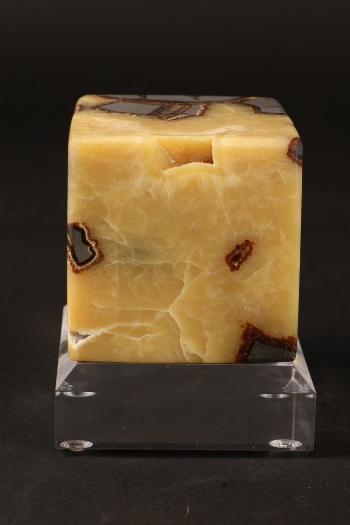 Cut Base Septarian Cube DM1260